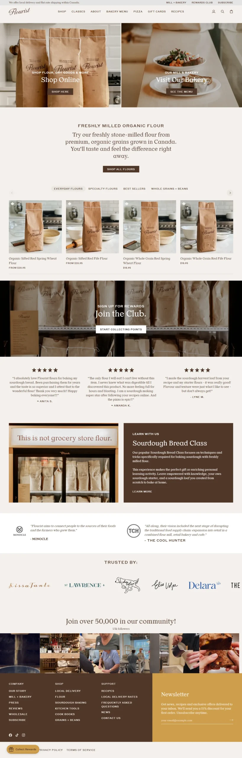 flourist.com designed and developed by muhammad daniyal scaled